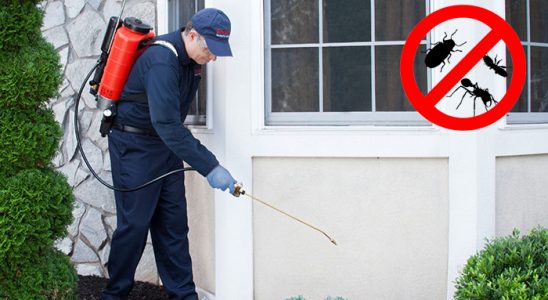 Eynesil Karınca İlaçlama böcek ilaçlama ve haşere kontrolü — ilaclama-tr.com